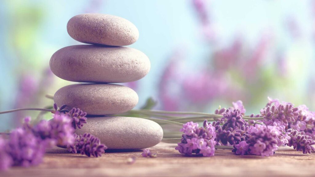 Balanced stones surrounded by lavender